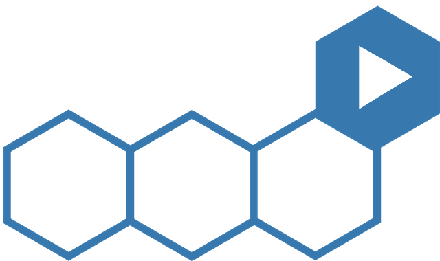 Studio 4D2